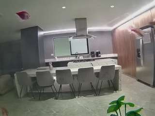 voyeurcam casa salsa fishtank